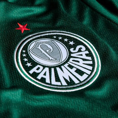 Palmeiras l modelo 22/23 Torcedor